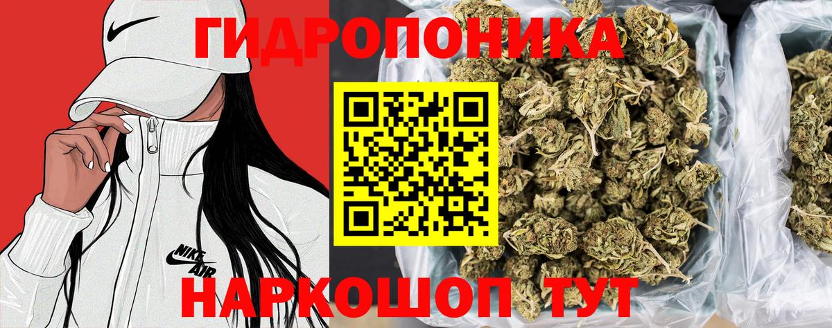Канабис AK-47  Бошки марихуана VHQ  Бошки марихуана сатива  Балахна  Вход с VPN  Шишки марихуана план 